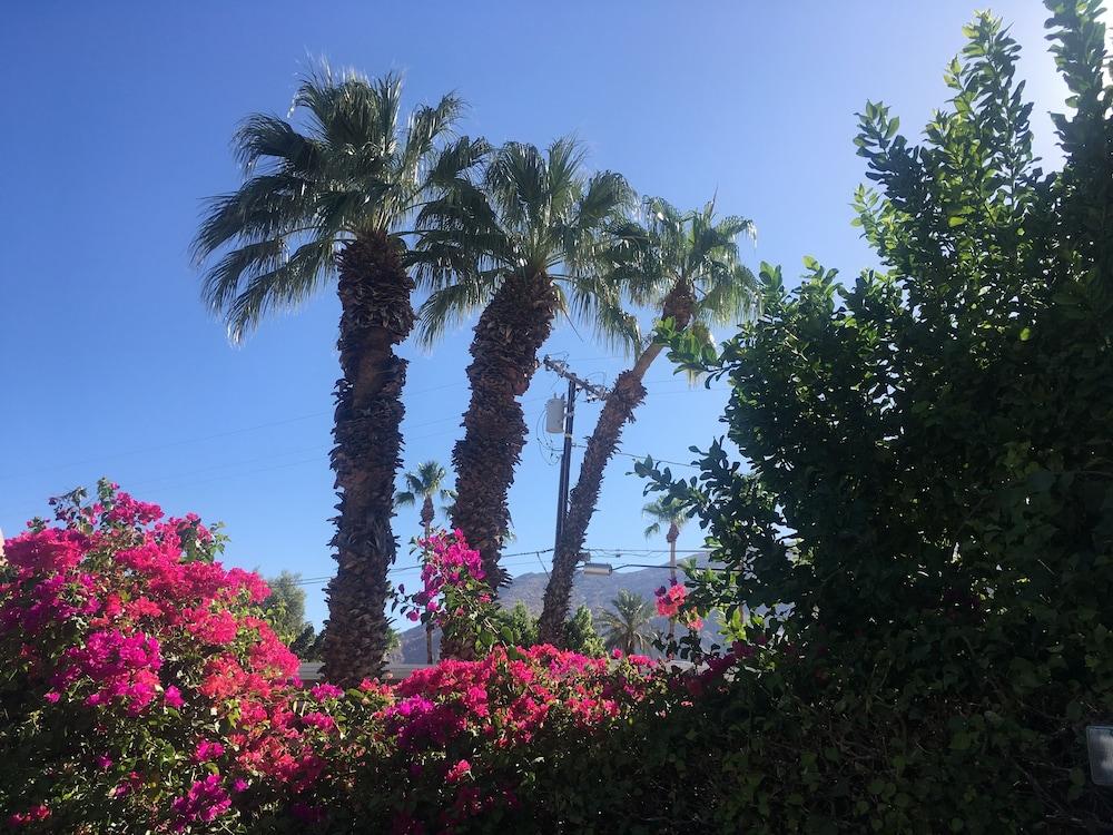 Inn at Palm Springs Bagian luar foto